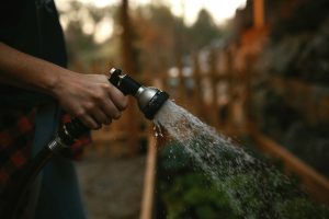 man holding hose spraying water at garden